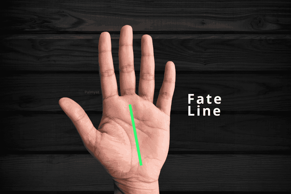 Fate Line in Palmistry: Bhagya Rekha & Career Path