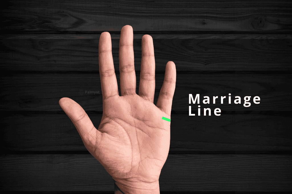 Marriage Line in Palmistry: Vivah Rekha & Relationships