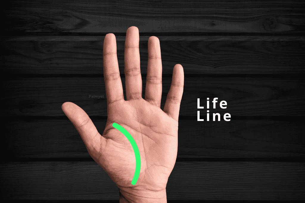 Palm Reading Guide: Learn Palmistry Basics & Meanings