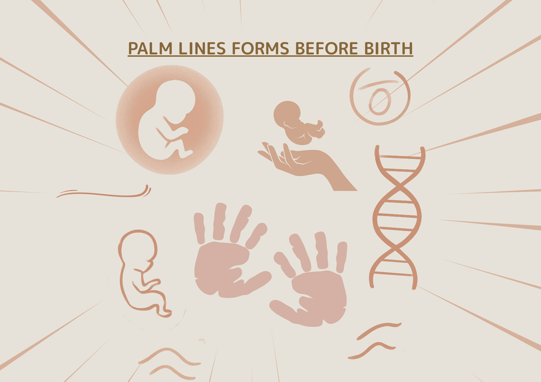 When Do Palm Lines Form? Fetal Development & Palmistry